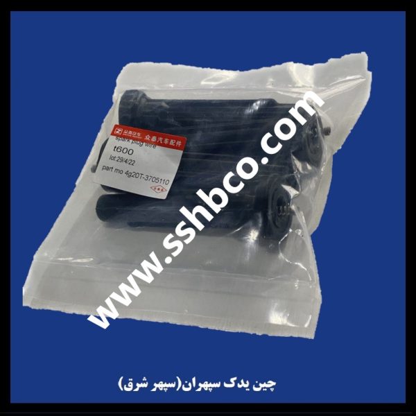 وایر کوپا ریگان فلگشیت