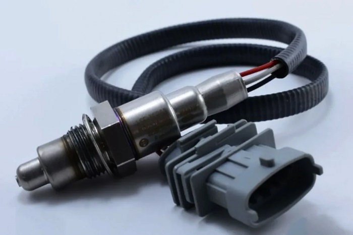 مراقبت از هایما