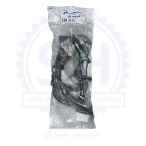 دسته سیم درب جانبی عقب چپ هایما 8اس